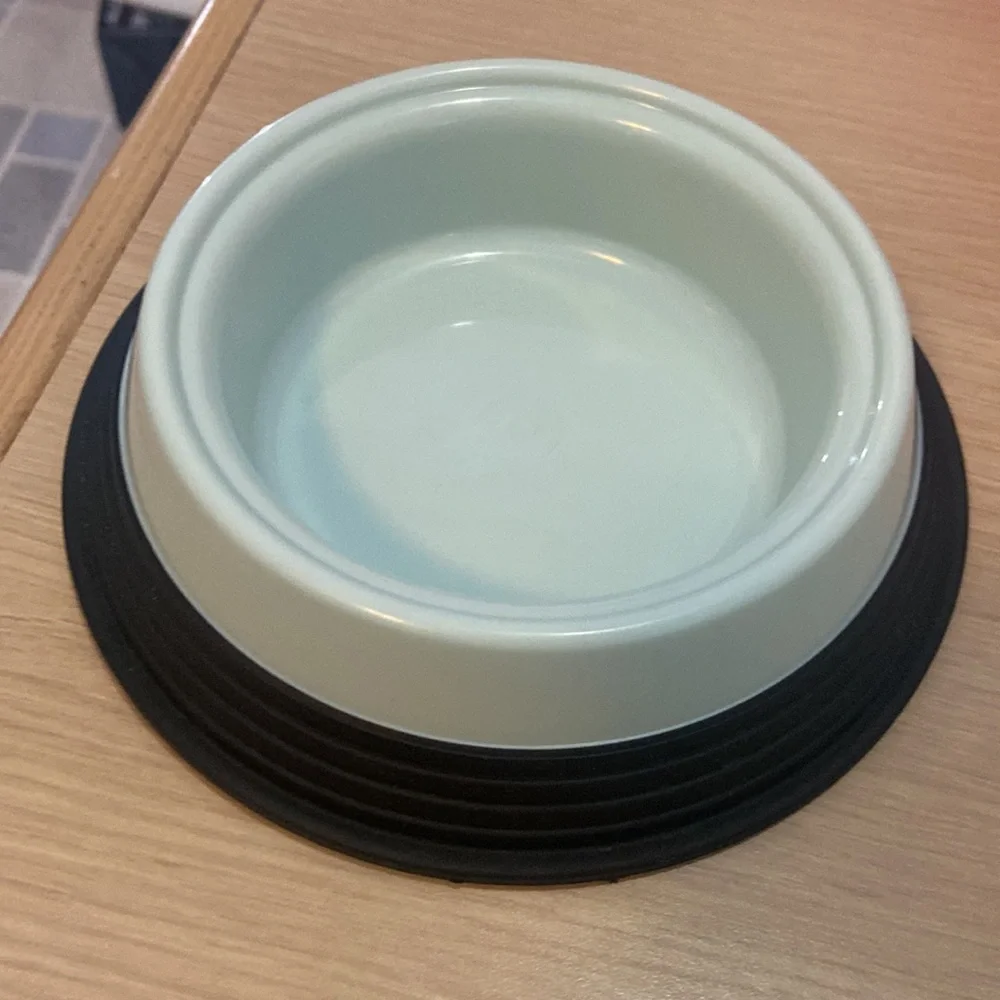 Teal cat 🐈 food or water dish
